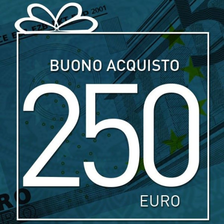 VOUCHER 250 euro